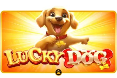 4222